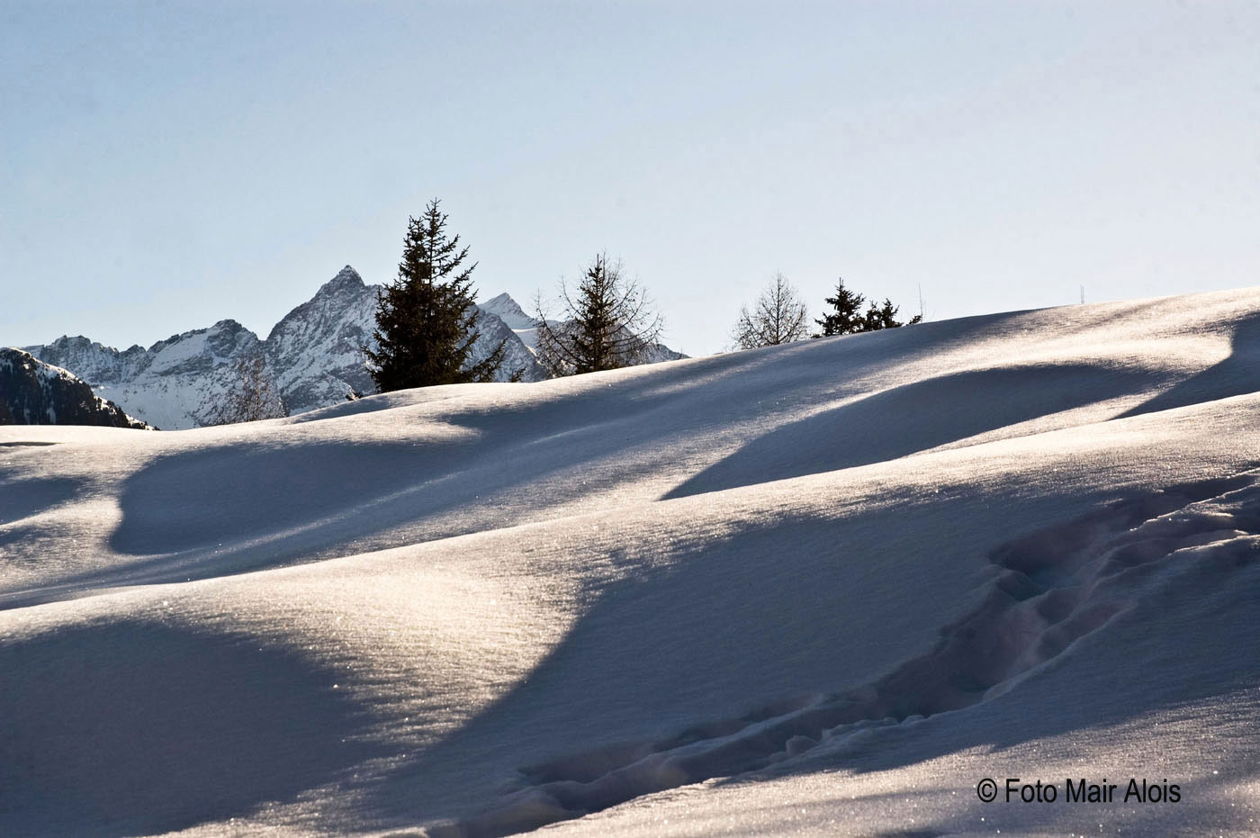 winter 2009.jpg
